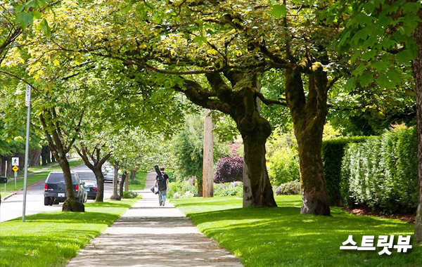 뉴웨스트민스터_2