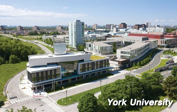 York University_1