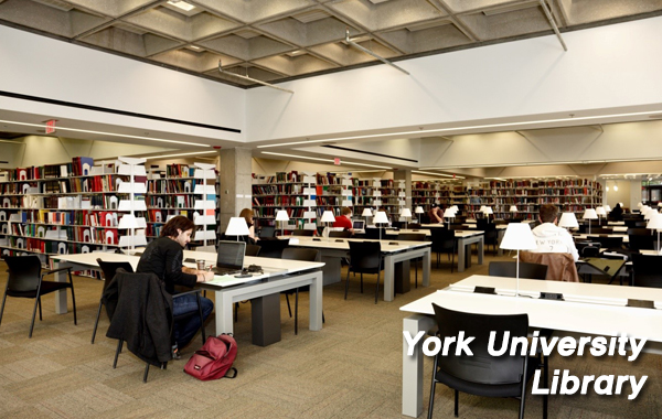 York University_6