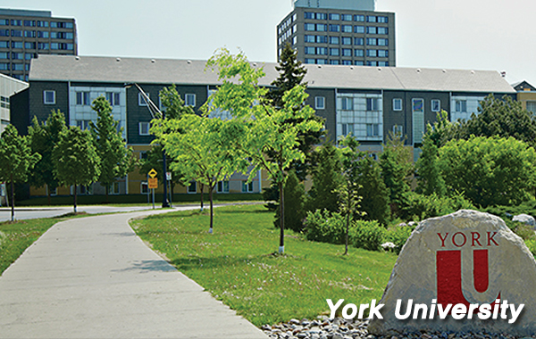 York University_3