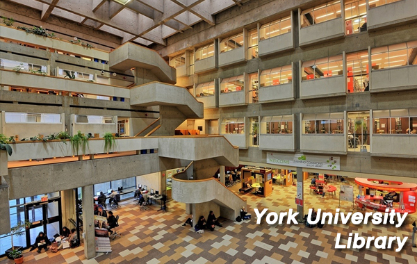 York University_5