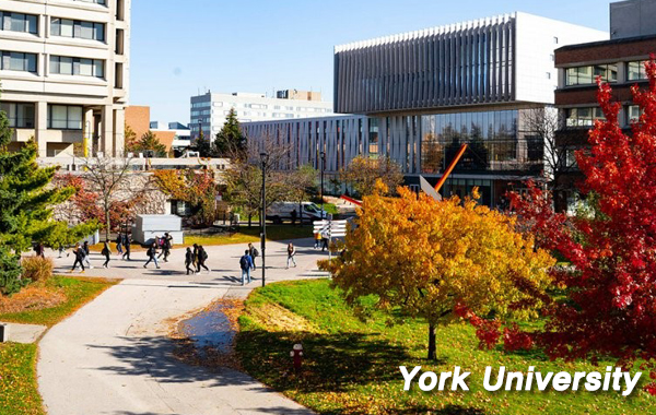 York University_2