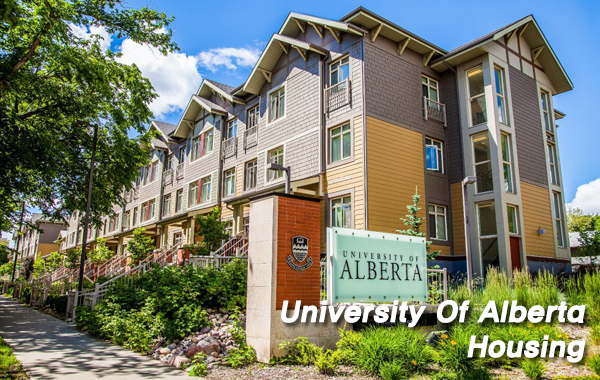 University Of Alberta_7